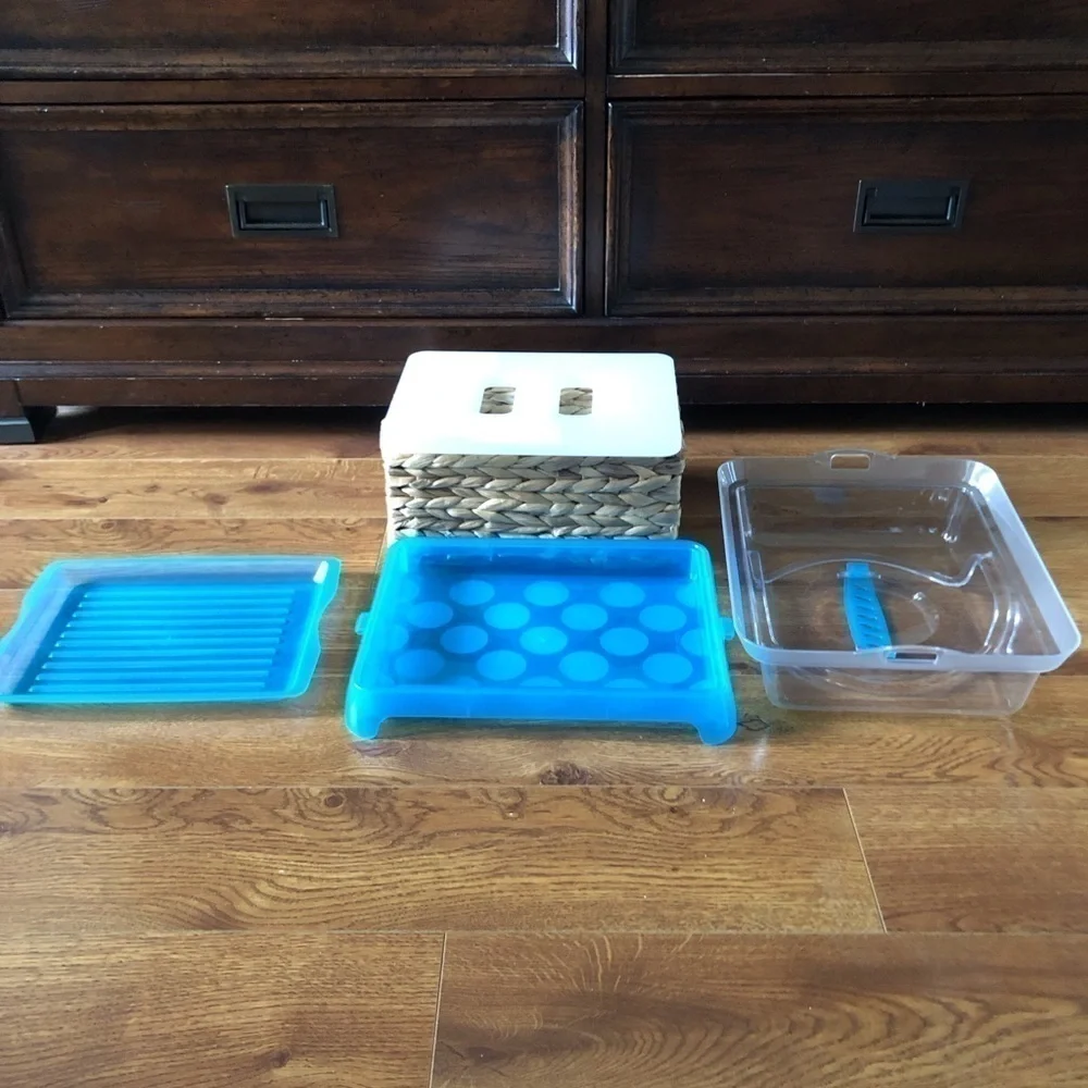 Blue Covered food dish with ice pack